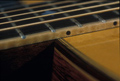 The neck